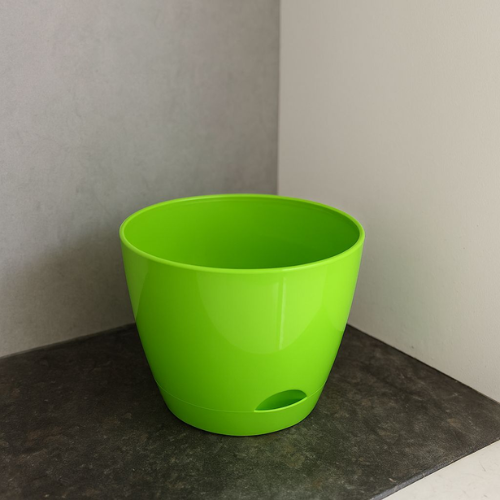 Self Watering Pot (1 pc)